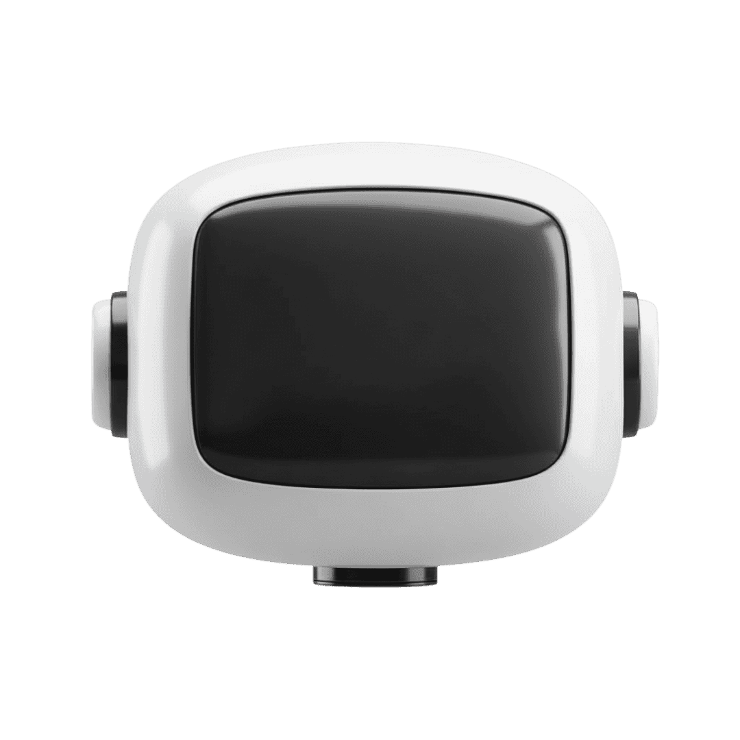 LoopSuite AI assistant